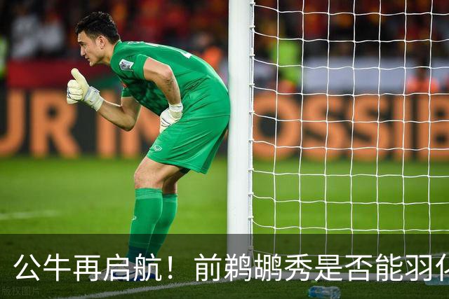 公牛再启航！前鹈鹕秀是否能羽化成蝶？