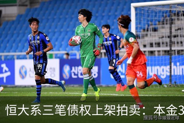 恒大系三笔债权上架拍卖：本金3.09亿元资产包总计成交价46.01万元
