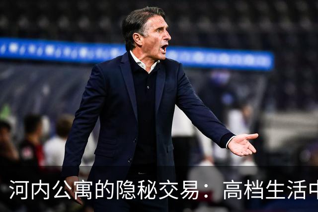 河内公寓的隐秘交易：高档生活中的低级秘密