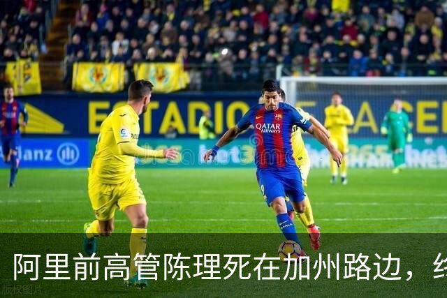 阿里前高管陈理死在加州路边，终究是高估了自己——在国内手握资源人脉，到美国却全无用武之地。他失踪半月，最先察觉异常的竟是游戏网友